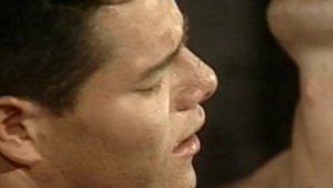 Falcon Studios: Fashionably Seedy Research